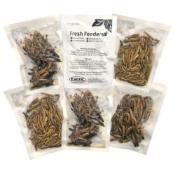 Fresh Feeders -Nutrition Pet Shop FreshFeedersVariety1 e6d34ed0 d2ad 45f6 a2cb bf643912dd21