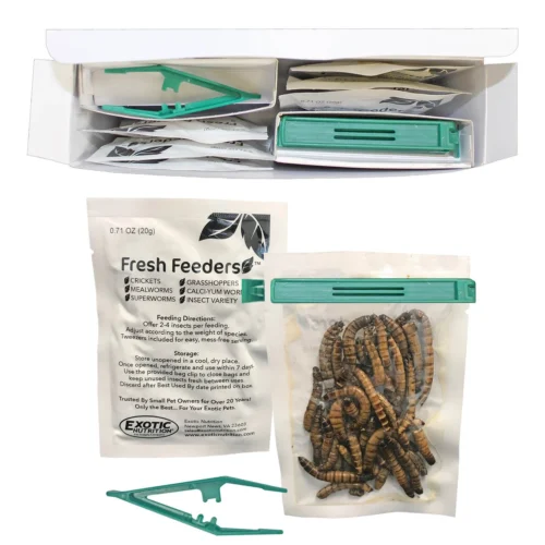 Fresh Feeders -Nutrition Pet Shop FreshFeeders 5 51320dc2 c0e1 4bf6 bd0b 882b0ee4bd6c