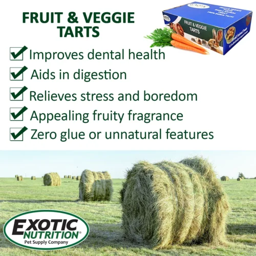 Fruit & Veggie Tarts 11 Fruit & Veggie Tarts -Nutrition Pet Shop FruitVeggieTartsAdditionalPic4