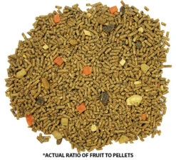 Glider Complete Sugar Glider Food -Nutrition Pet Shop GliderCompleteFoodPicSpread 2