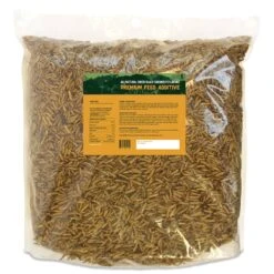 Grub-Worms Black Soldier Fly Larvae 22 Grub-Worms Black Soldier Fly Larvae -Nutrition Pet Shop GrubwormsBack1 4630be9d c58a 4de2 be38 28607ee01029