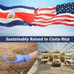 Grub-Worms Black Soldier Fly Larvae 14 Grub-Worms Black Soldier Fly Larvae -Nutrition Pet Shop GrubwormsCostaRicaAd1 4aed0ac9 b85b 4c5b 887e 3179d2b6ec58