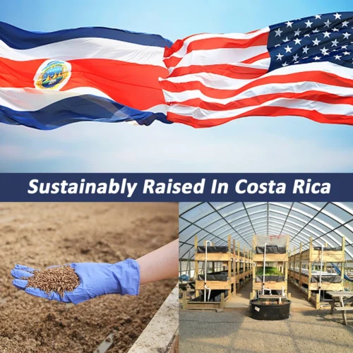 Grub-Worms Black Soldier Fly Larvae -Nutrition Pet Shop GrubwormsCostaRicaAd1 4aed0ac9 b85b 4c5b 887e 3179d2b6ec58