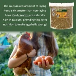 Grub-Worms Black Soldier Fly Larvae 17 Grub-Worms Black Soldier Fly Larvae -Nutrition Pet Shop GrubwormsFeatureAd5 b1559eb9 5083 4384 af88 1f183f0b0ba4