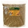 Grub-Worms Black Soldier Fly Larvae 23 Grub-Worms Black Soldier Fly Larvae -Nutrition Pet Shop GrubwormsFront1 2 1965895f 419b 4346 b799 7a90ba538858