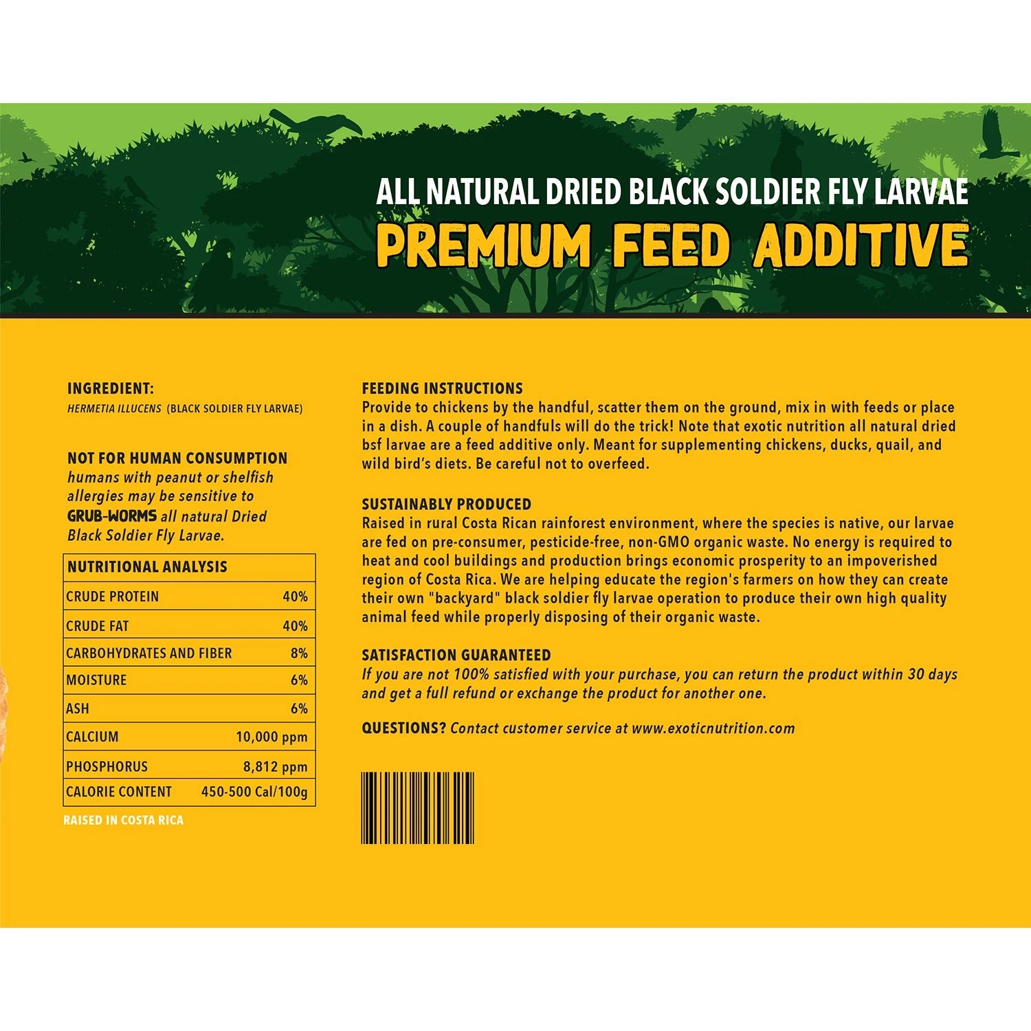 Grub-Worms Black Soldier Fly Larvae 10 Grub-Worms Black Soldier Fly Larvae - Image 10