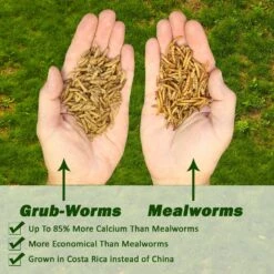 Front Page -Nutrition Pet Shop GrubwormsVersusMealwormsAd2 d64fc2a7 63ad 4b69 8686 dbf94e76e5fa