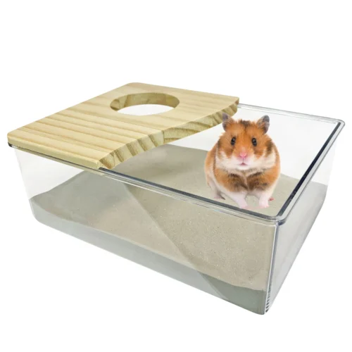 Acrylic Sand Bath 27 Acrylic Sand Bath -Nutrition Pet Shop HAMSTERINSANDBATH2
