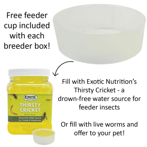 Mealworm Breeder Kit -Nutrition Pet Shop HappyHabitatFeedCup1 165c5234 259d 4608 a586 3bac6a603ce0