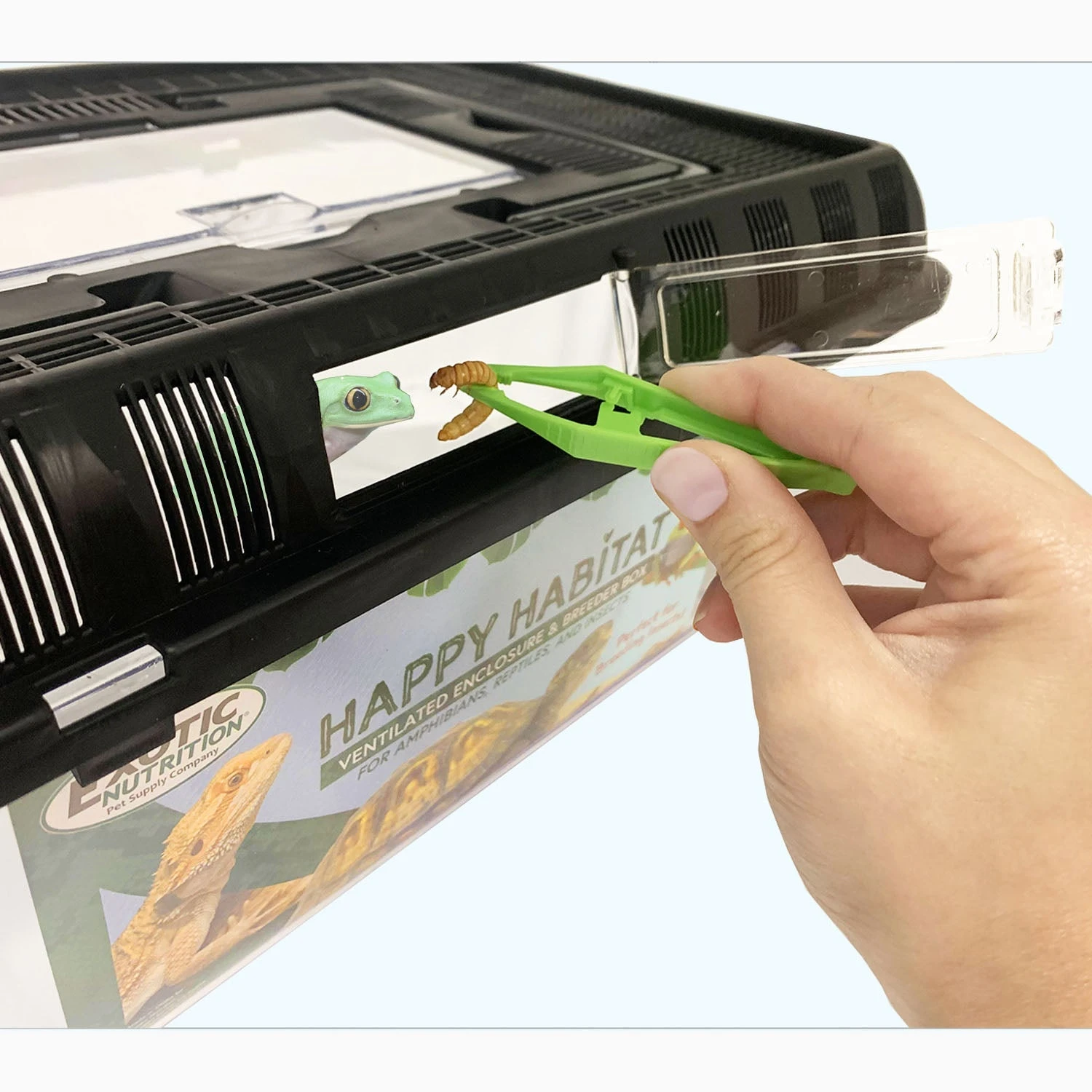 Happy Habitat 7 Happy Habitat - Image 7