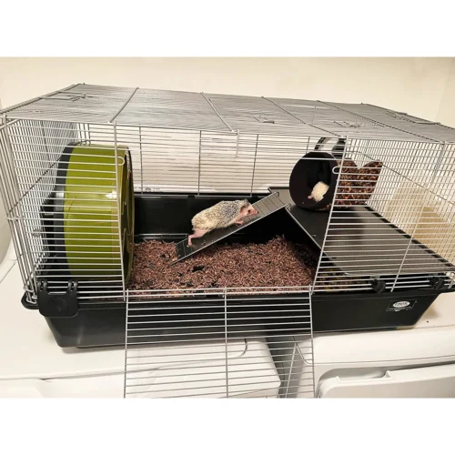 Hedgehog Home & Starter Pack -Nutrition Pet Shop HedgehogStarterZanzibarCageCustomerPhoto 9cea8389 9e66 4cd9 86da 29fa62371fff