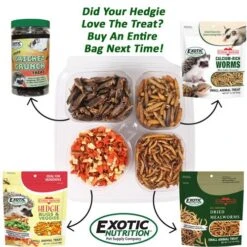 Hedgehog Treat Sampler -Nutrition Pet Shop HedgehogTreatVarietyPackAdditonal1