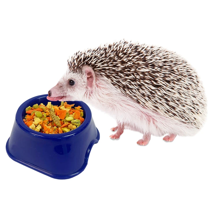Hedgehog Starter Pack 8 Hedgehog Starter Pack - Image 8