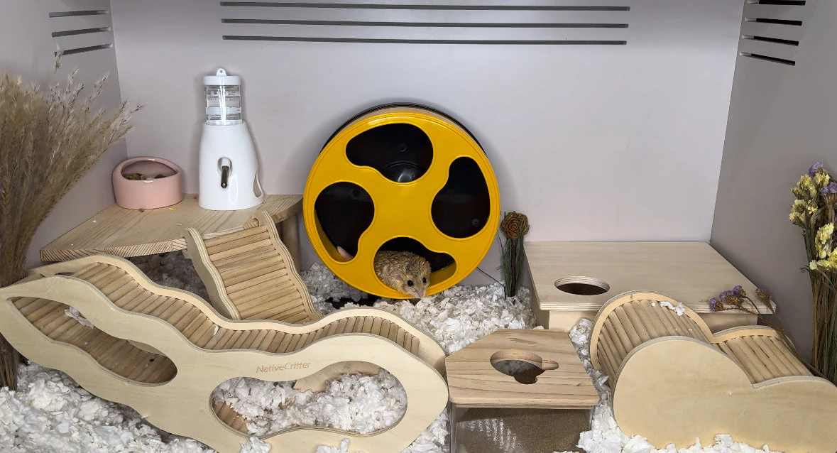 Corner Riser Platform 8 Corner Riser Platform - Image 8