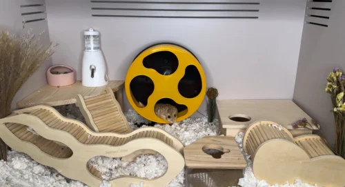 Chamber Box -Nutrition Pet Shop IMG 2871