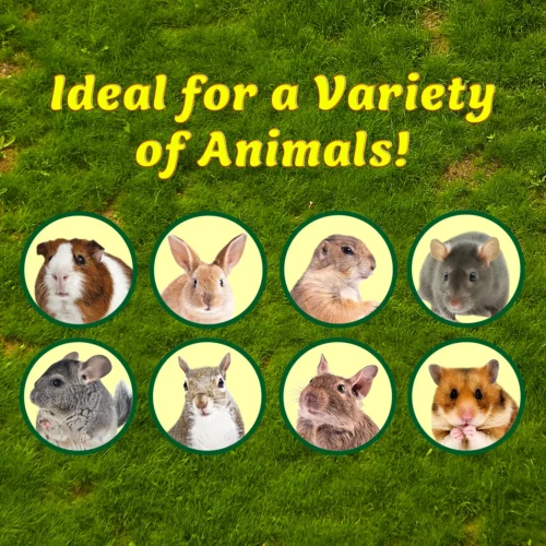 Garden Dig Box 8 Garden Dig Box -Nutrition Pet Shop IdealForVarietyofAnimalsAd2 15c106ea bfd2 47db b657 b3ecc0b467bb