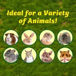 Apple Stick Hay Feeder -Nutrition Pet Shop IdealForVarietyofAnimalsAd2 b3759f40 b4c1 4ce2 93b7 93c19ad71175