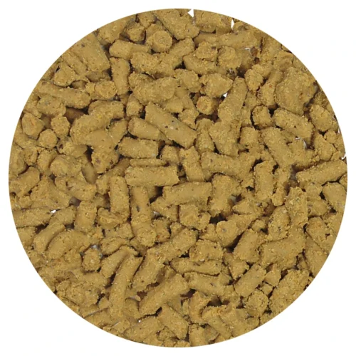 Insectivore-Fare 3 Lb 8 Insectivore-Fare 3 Lb -Nutrition Pet Shop Insectivore fare 4