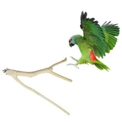 Multi-Branch Perch -Nutrition Pet Shop LargeForkedBranch 6
