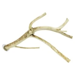 Multi-Branch Perch -Nutrition Pet Shop LargeMultiBranch front