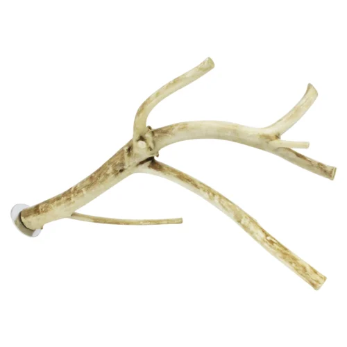 Multi-Branch Perch -Nutrition Pet Shop LargeMultiBranch front