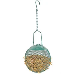 Mealworm Feed Ball -Nutrition Pet Shop MealwormFeedBall 2 1d880819 8b86 403c 802f 3dec31980974