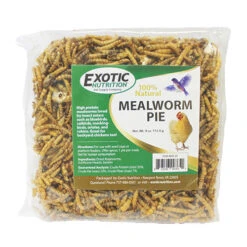 Mealworm Pie 9 Mealworm Pie -Nutrition Pet Shop MealwormPie 1 546de7c1 b2af 46d2 9afa 9d710e7d3b0e