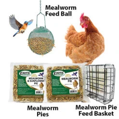 Mealworm & Sunflower Pie -Nutrition Pet Shop MealwormProducts PieCageBasketBall 2 57ba9801 1b15 427b b3a5 abbc92bd4044