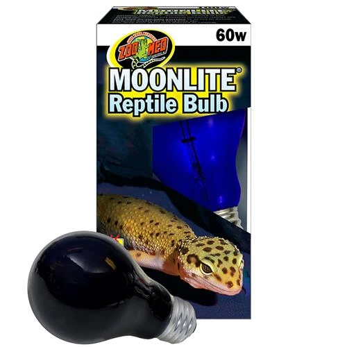 Moonlite Lighting System (Clamp Lamp + Bulb) 4 Moonlite Lighting System (Clamp Lamp + Bulb) - Image 4