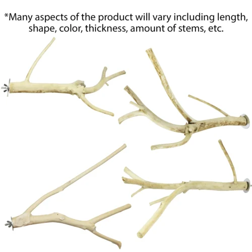 Multi-Branch Perch -Nutrition Pet Shop MultiBranchPerchSizes 1