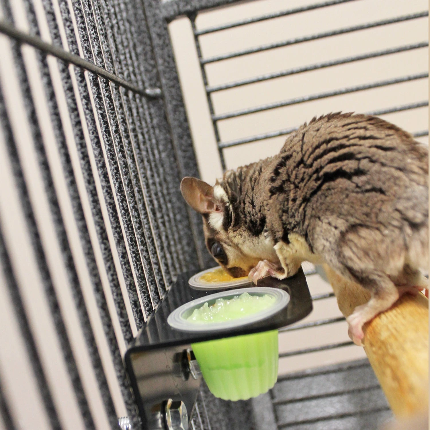 Nectar Pod Holder 4 Nectar Pod Holder - Image 4