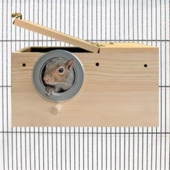 Congo Cage & Starter Pack For Squirrels 11 Congo Cage & Starter Pack For Squirrels -Nutrition Pet Shop Nest Box with Squirrel 2 1