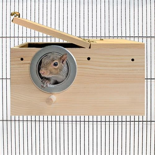 Congo Cage & Starter Pack For Squirrels 6 Congo Cage & Starter Pack For Squirrels - Image 6