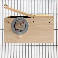 Sturdy Nest Box 29 Sturdy Nest Box -Nutrition Pet Shop NestBoxwithSquirrel 2