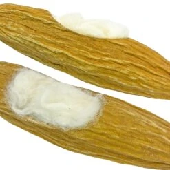 Nesting Material Pods -Nutrition Pet Shop NestingMaterialPodsCloseUp4