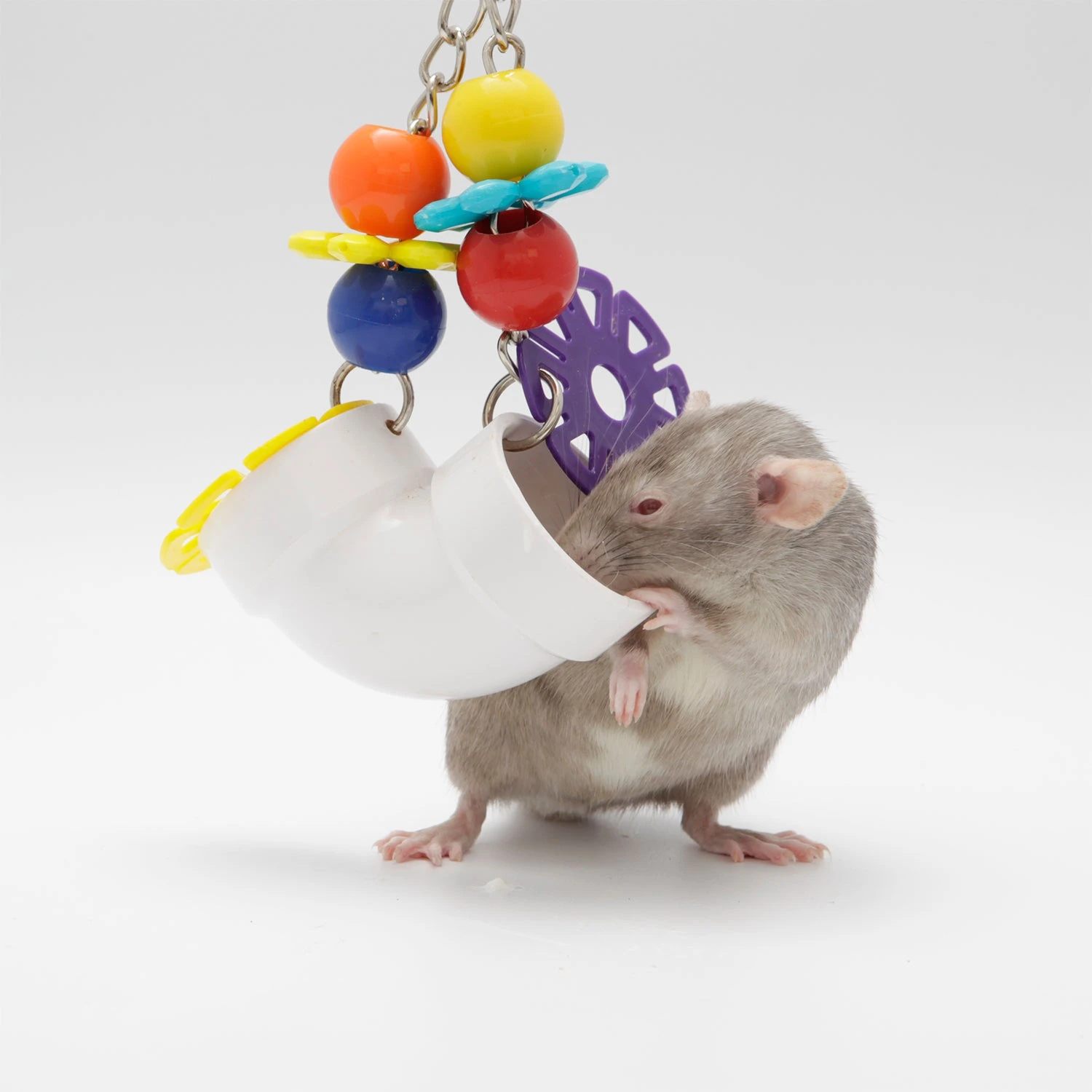 PVC Forager 2 PVC Forager - Image 2