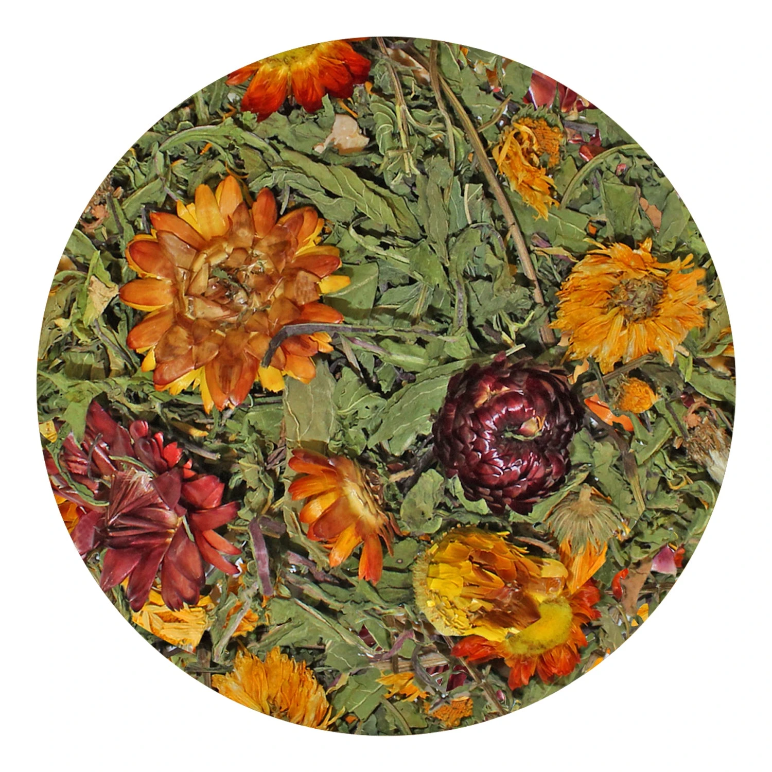 Dandelion Delicacy 2 Dandelion Delicacy - Image 2