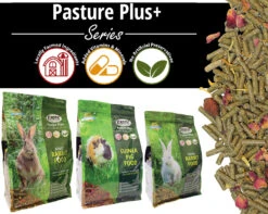 Young Rabbit Food 5 Lb. -Nutrition Pet Shop PasturePlusRabbitGuineaPigAd 1