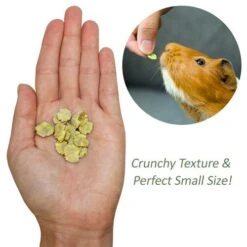 Chinchilla Treat Sampler -Nutrition Pet Shop PeaFlakeInHand1