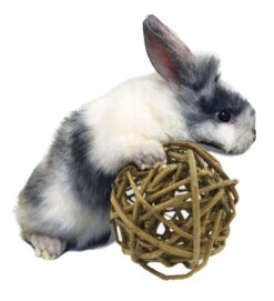 Willow Ball -Nutrition Pet Shop RabbitwithWillowBall 1 1