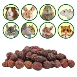 Dried Rose Hips -Nutrition Pet Shop RoseHips 6