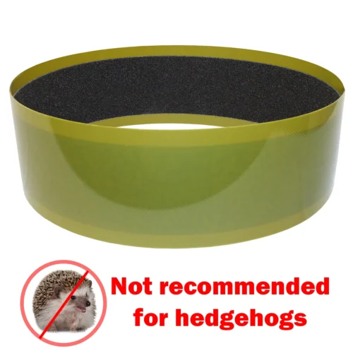 Sandy Track 12 In. Wide (Green) -Nutrition Pet Shop SandyTrackGreen4