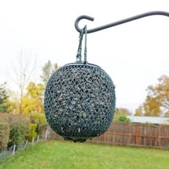 Mealworm Feed Ball -Nutrition Pet Shop SeedBall 6 1bead653 5eb9 40de bce1 a809ad61c5df