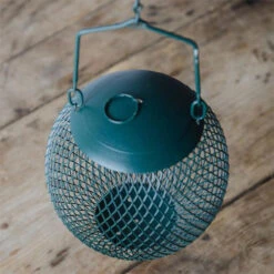 Mealworm Feed Ball -Nutrition Pet Shop SeedBall 8 928812d3 7653 4ec5 9956 591346d713c5