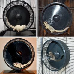 Silent Runner 12" PRO 35 Silent Runner 12" PRO -Nutrition Pet Shop SilentRunnerProCustomerPhotos1