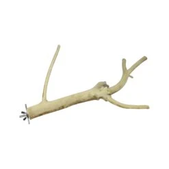 Multi-Branch Perch -Nutrition Pet Shop SmallMultiBranch front