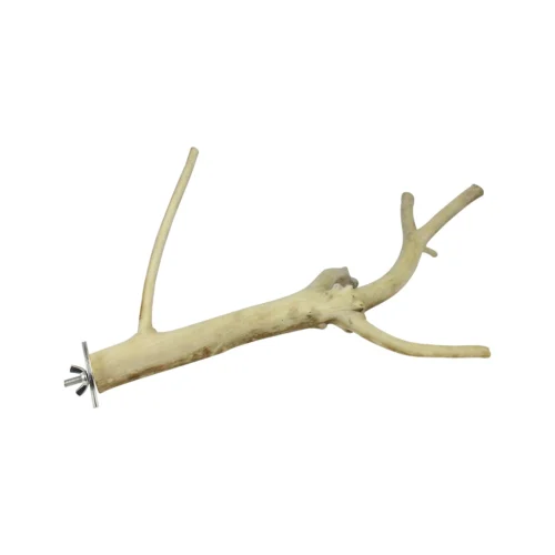 Multi-Branch Perch -Nutrition Pet Shop SmallMultiBranch front