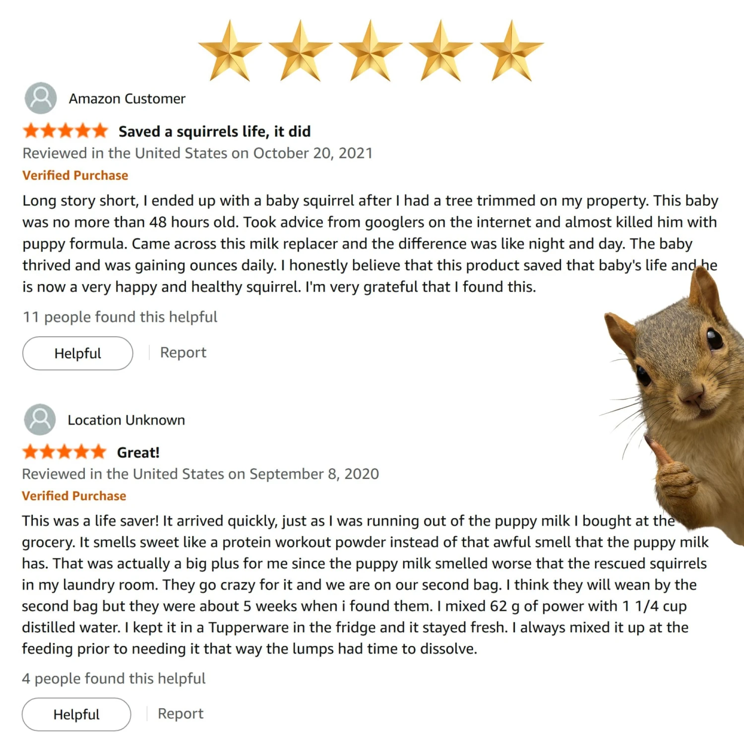 Baby Animal Nursing Set 6 Baby Animal Nursing Set - Image 6