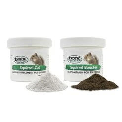 Squirrel Food Starter Package 16 Squirrel Food Starter Package -Nutrition Pet Shop Squirrel Cal and Squirrel Booster 2