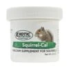 Squirrel-Cal (Calcium Supplement) 34 Squirrel-Cal (Calcium Supplement) -Nutrition Pet Shop Squirrel Cal 4